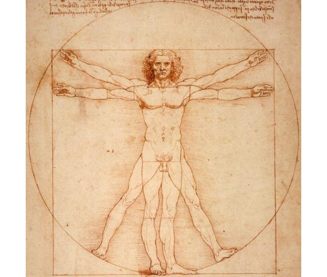 Vitruvian Man (Uomo Vitruviano) by Leonardo da Vinci